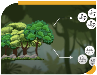 food nature climate